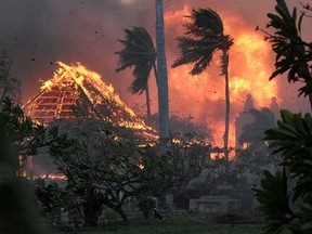 Maui wildfire