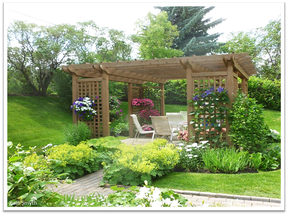 Photo of a backyard by Kath Smyth