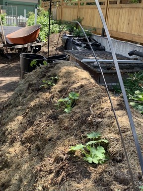 compost
