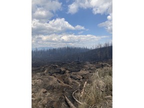 The area around the Bush Creek East blaze, northeast of Kamloops on the west side of Adams Lake, is shown in a handout photo. Crews with the BC Wildfire Service faced a busy long weekend as the number of active wildfires in the province jumped above 400, including 34 reported Monday.