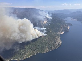 The Lower East Adams Lake wildfire in B.C.'s Shuswap region is shown in a handout photo. The British Columbia Wildfire Service says hot and dry weather is contributing to "extreme fire behaviour" in the southern Interior as a ridge of high-pressure settled over the province this week, sending temperatures soaring and further drying fuel in the forests.