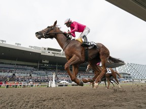 Paramount Prince, with Patrick Husbands aboard, crosses the finish line to win the 164th running of the Kings's Plate horse race in Toronto on Sunday, August 20, 2023.