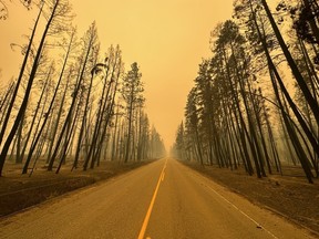 Wildfire damage