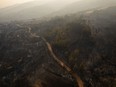 Charred trees are seen during wildfires near the village of Kirkis, near Alexandroupolis town, in the northeastern Evros region, Greece, Wednesday, Aug. 23, 2023. Water-dropping planes from several European countries joined hundreds of firefighters Wednesday battling wildfires raging for days across Greece that have left 20 people dead, while major blazes were also burning in Spain's Tenerife and in northwestern Turkey near the Greek border.
