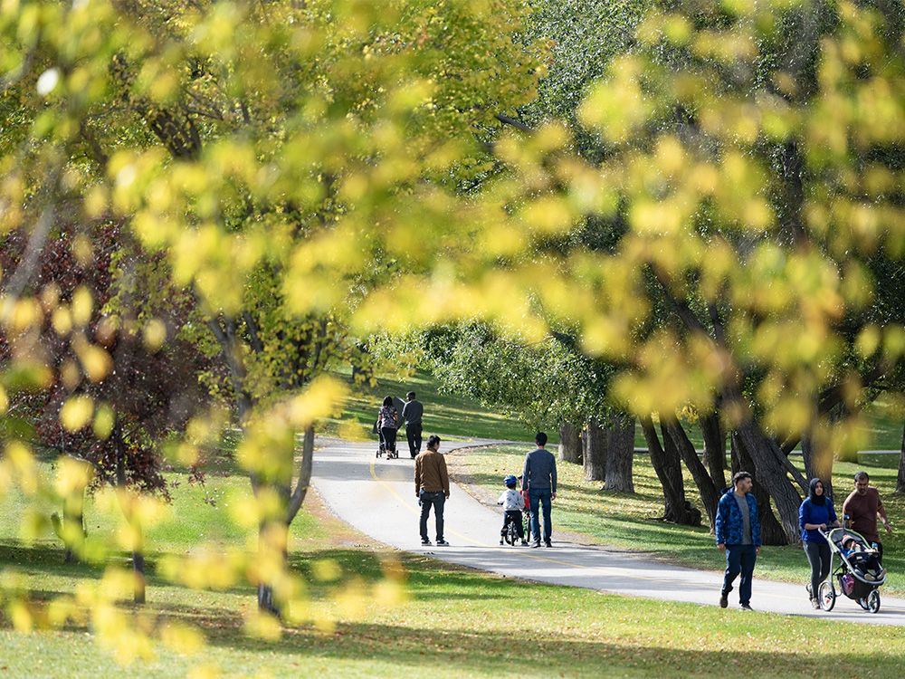 People spend the mild fall afternoon at Confederation Park on Sunday, September 24, 2023.