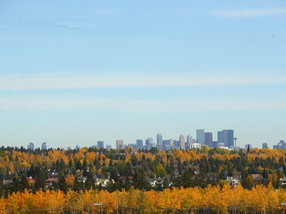 Alberta cities rank among top 10 in world for becoming more affordable ...