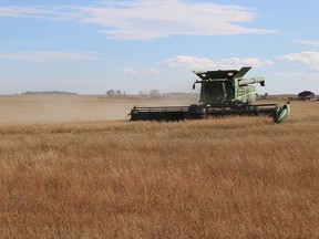 Alberta harvest