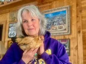 Marsi Parker Darwin snuggles Peanut, the world's oldest living chicken, at home in Michigan.