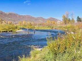 An image of two fly fishermen on the Middle Provo River in Utah, USA.