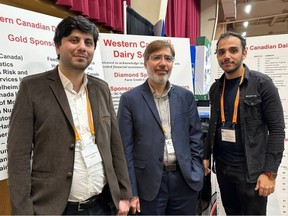 iClassifer CEO Reza Sabbagh (centre) with the help of researchers from Dalhousie university and students from the University of Alberta have created a new automated imaging system to help speed along the classification process of dairy Cows. Mohammad Mohammad (left) and Erman Hamzehnezhad (right), both Mitacs interns.