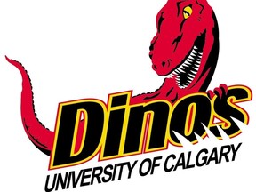 University of Calgary Dinos logo colour. VOLLEYBALL. * Calgary Herald Merlin Archive *