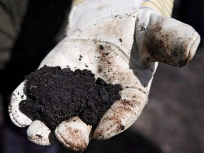 A worker at an oilsands site near Fort McMurray, Alberta, holds raw sand bitumen.
