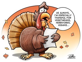 LAMONTAGNE ON turkeys