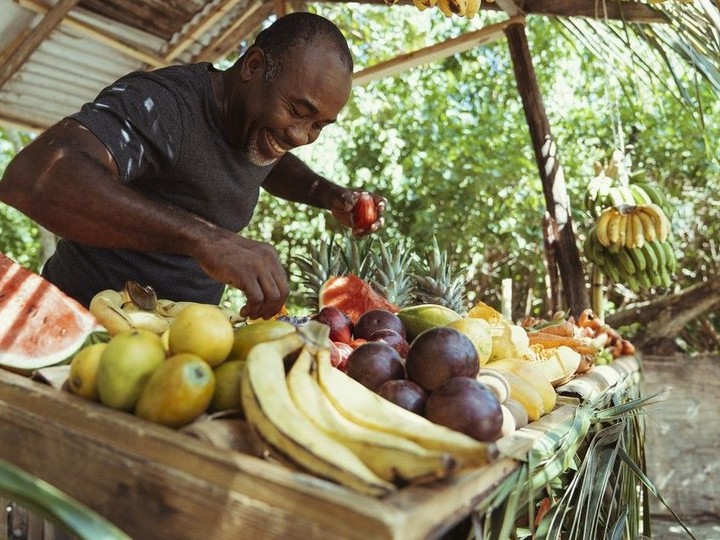  Fresh fruit is everywhere in Jamaica. Just amble over to any roadside stand. Courtesy Jamaican Tourist Board