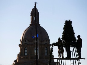 The dome of the Alberta Legislature is visible in the background as crews construct a Christmas tree decoration in Violet King Henry Plaza, in Edmonton Wednesday Nov. 8, 2023.