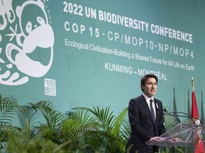 Prime Minister Justin Trudeau delivers remarks during the opening ceremony of the COP15 UN conference on biodiversity in Montreal on Dec. 6, 2022.