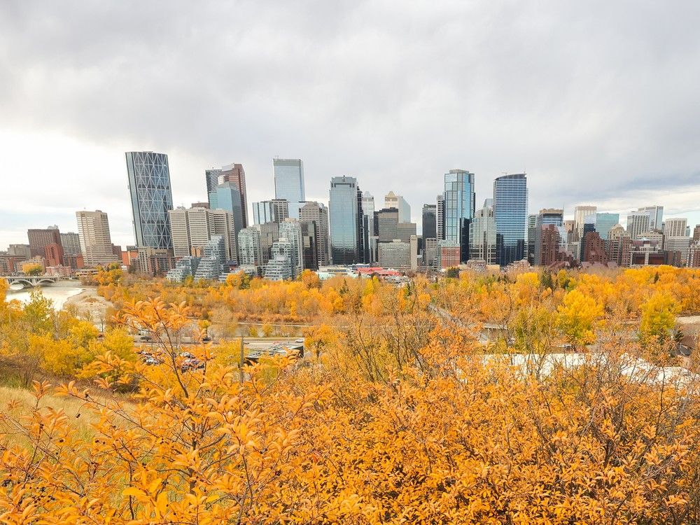 roberto noce alberta condo law