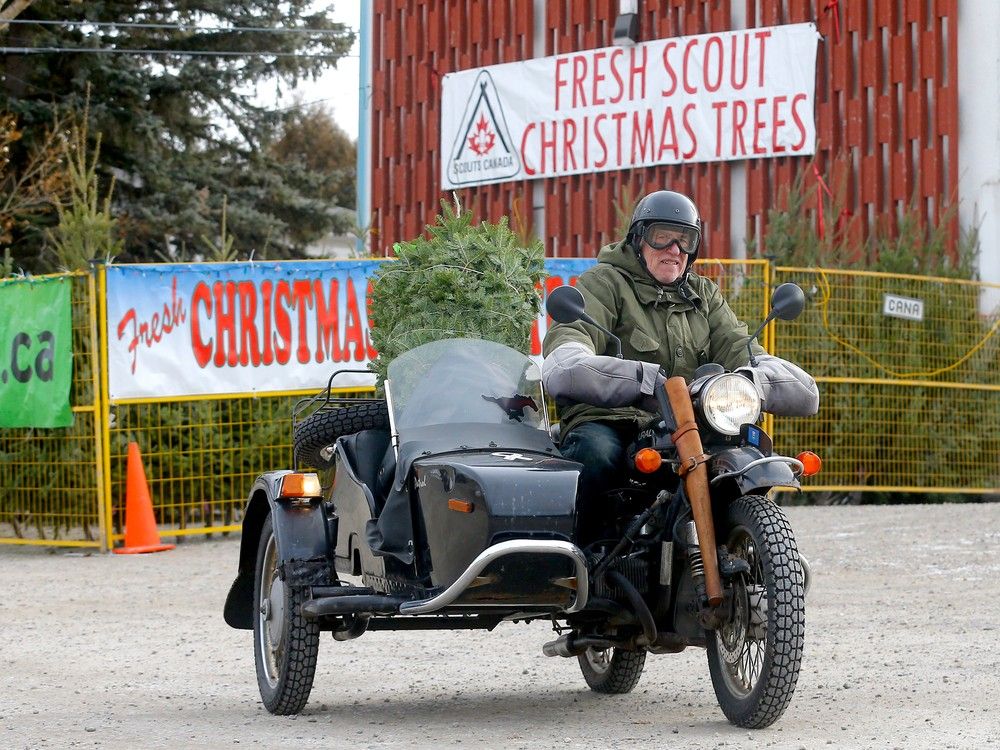 Sellers report supply shortage, higher demand for Christmas trees Calgary Herald