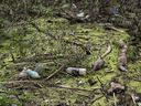 FILE - Muddy plastic bottles have flowed downstream and become lodged against fallen trees and within the dense foliage in Tisza River near Tiszaroff, Hungary, Aug. 1, 2023.