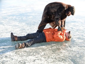 fargo