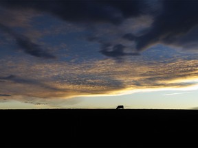 Sunset west of Irricana, Ab., on Tuesday, December 5, 2023.