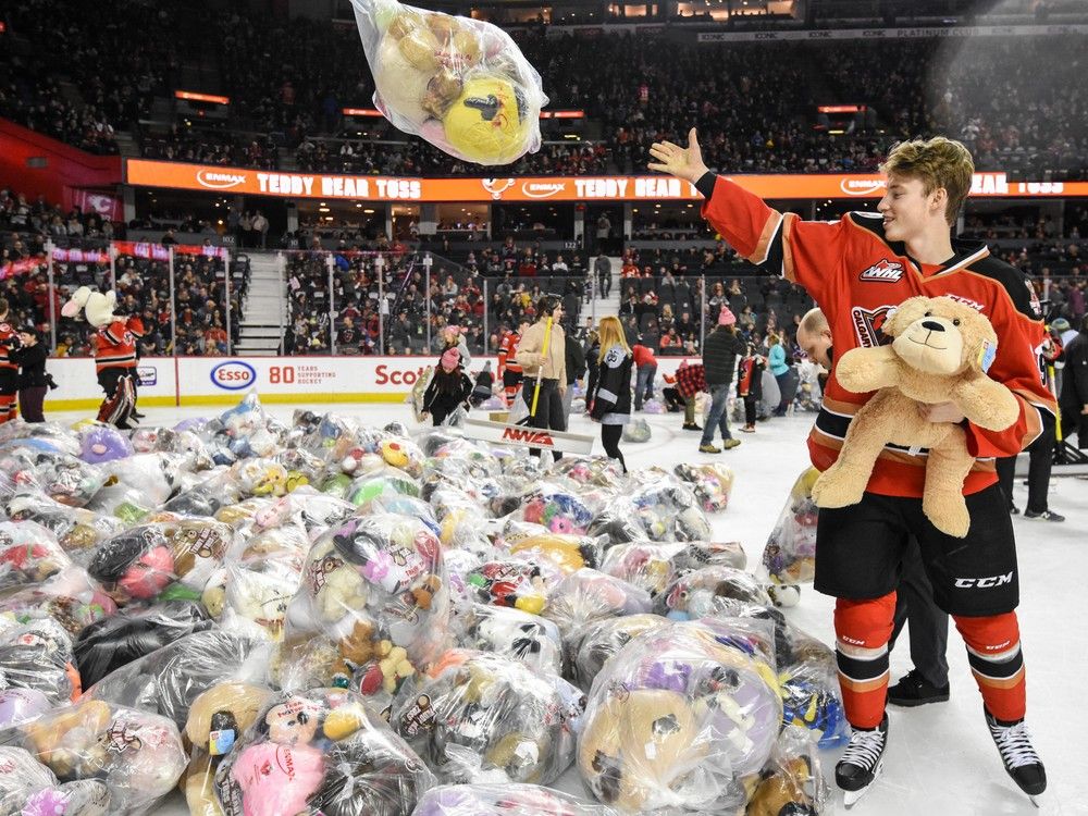 Teddy Bear Toss