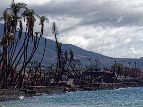 Lahaina, Hawaii, was devastated by wildfires in August. Some 2,700 families are still displaced. The County of Maui mayor has proposed accessing short-term vacation rentals and time shares, with tax exemptions as incentive, to accelerate the conversion to long-term use for residents.