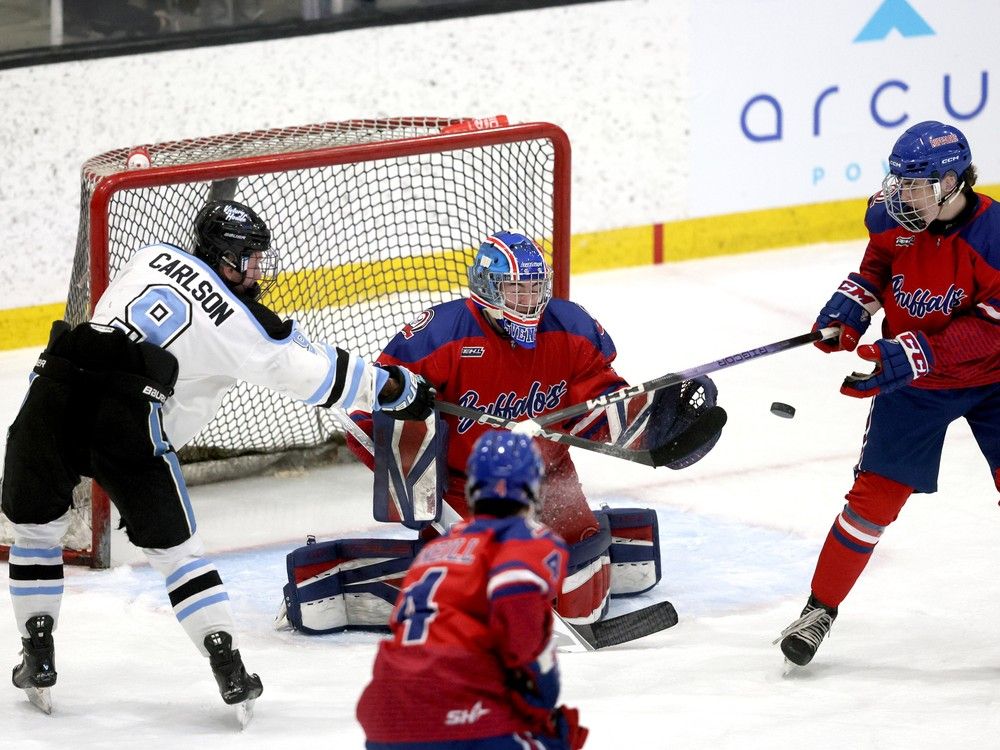 Calgary Buffaloes aim to avenge last year's Circle K Classic heartache ...