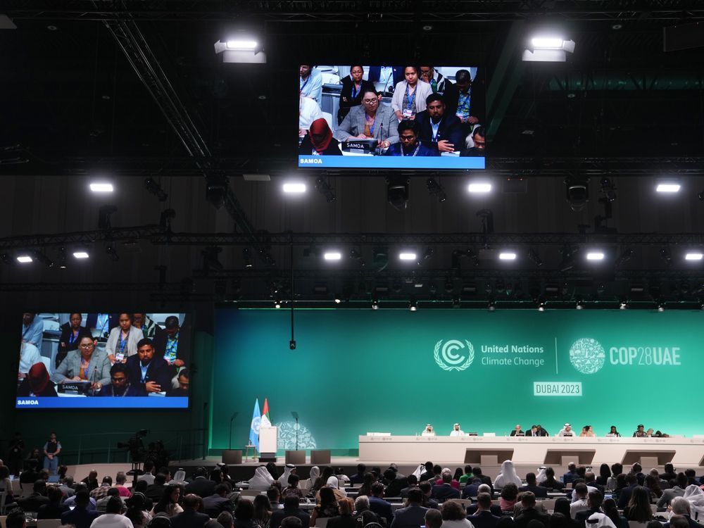 Anne Rasmussen, Samoa lead negotiator, speaks during a plenary session at the COP28 U.N. Climate Summit, Wednesday, Dec. 13, 2023, in Dubai, United Arab Emirates.