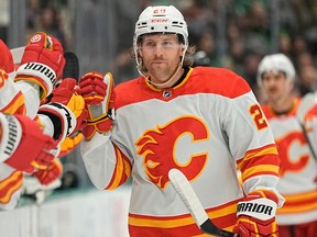 Calgary Flames - Figure 1