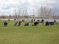 Minor soccer in Airdrie