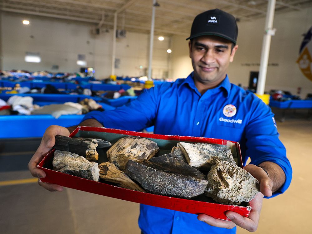 ‘How fascinating is that?’ Dinosaur bone, petrified wood turn up
at Calgary Goodwill