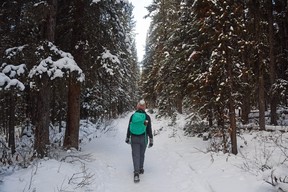 An image of a woman walking through the woods in Banff National Park in Alberta, Canada.