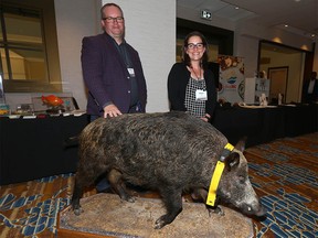 Ryan Brook and Megan Evans with a stuffed wild pig