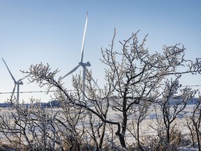 Frosted buffaloberry twigs and wind turbines south of Dorothy, Ab., on Tuesday, February 27, 2024.
