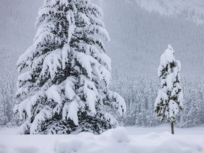 Snow in Alberta foothills