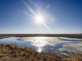 Meltwater in a field west of Vulcan, Ab., on Monday, March 18, 2024.