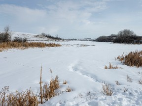 Frozen pond west of Airdrie