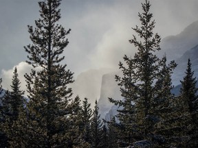 Ribbon Creek valley