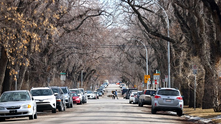 Brookman: City's rezoning push at odds with desire to preserve trees
