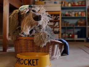 Sprocket