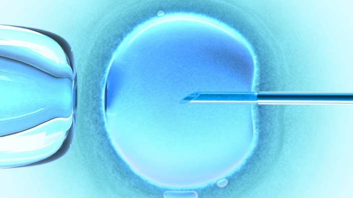 IVF stressful enough without Alabama court ruling on embryos