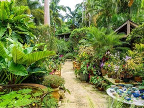 hunte's-garden-barbados