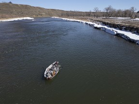 First fish of the day on the Bow River near Carseland, Ab., on Monday, April 1, 2024.