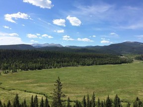 Clear logging of popular Bragg Creek area imminent, opponents say