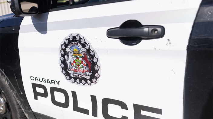 Pedestrian killed by vehicle while walking on Centre Street Bridge