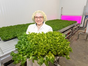Canada’s largest vertical farm opens in southeast Calgary