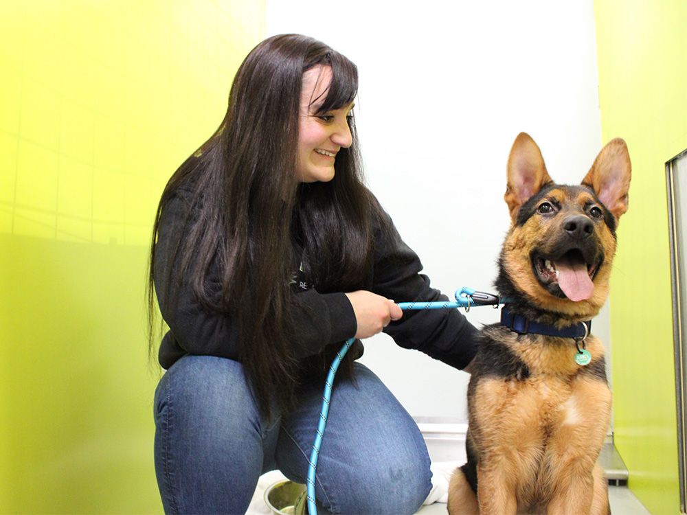 AARCS pet food bank in desperate need of donations Calgary Herald