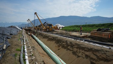 Workers lay pipe during construction of the Trans Mountain pipeline expansion on farmland in Abbotsford, B.C., 2023.