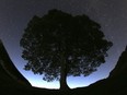 FILE - A general view of the stars above Sycamore Gap prior to the Perseid Meteor Shower above Hadrian's Wall near Bardon Mill, England, Wednesday, Aug. 12, 2015. Two men have been charged with causing criminal damage for cutting down a popular 150-year-old tree next to Hadrian's Wall and featured in a Kevin Costner's 1991 film "Robin Hood: Prince Of Thieves," prosecutors said Monday April 29, 2024. Daniel Graham and Adam Carruthers were also charged with damaging the wall that was built in AD 122 by Emperor Hadrian to to guard the north-west frontier of the Roman Empire.